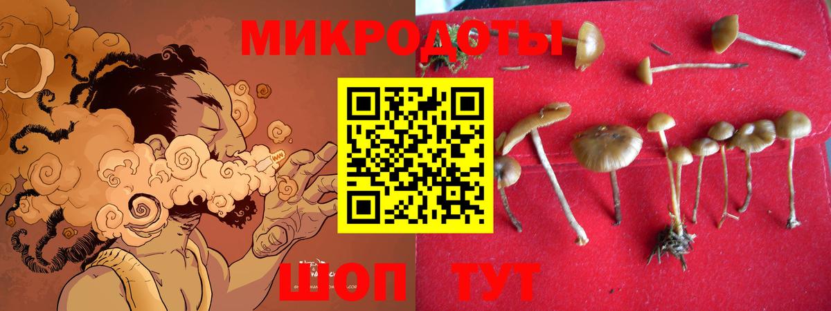 Галлюциногенные грибы MAGIC MUSHROOMS  Псилоцибиновые грибы Psilocybe  Вход с VPN  Татарск 